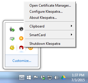 Notification Area Kleopatra Icon